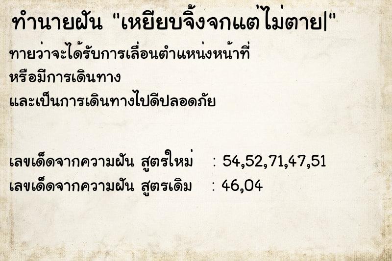 ทำนายฝัน เหยียบจิ้งจกแต่ไม่ตาย|